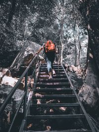 Rear view of man on staircase in forest