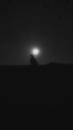 Silhouette bird against sky at night