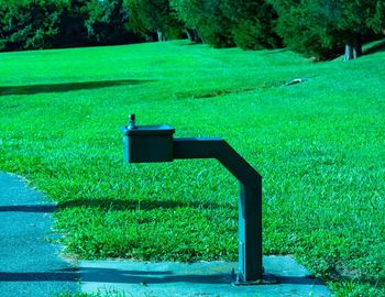 High angle view of lawn