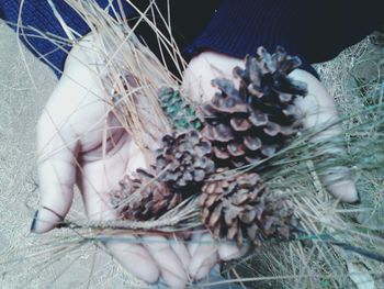 Low section of person holding plant