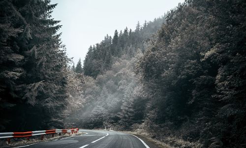 Road amidst trees against sky