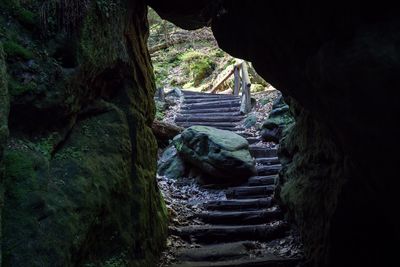 Rocks in forest