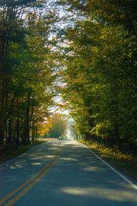 Road amidst trees in forest