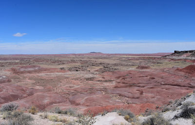 Gorgeous views of the scenic painted desert landscape in arid arizona.