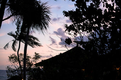 Low angle view of silhouette palm trees against sky