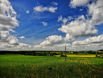 Scenic view of agricultural field against sky