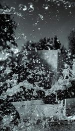 Reflection of trees on wet swimming pool