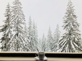 Cup with spoon placed on plate near a window through which you can see forest of evergreen trees