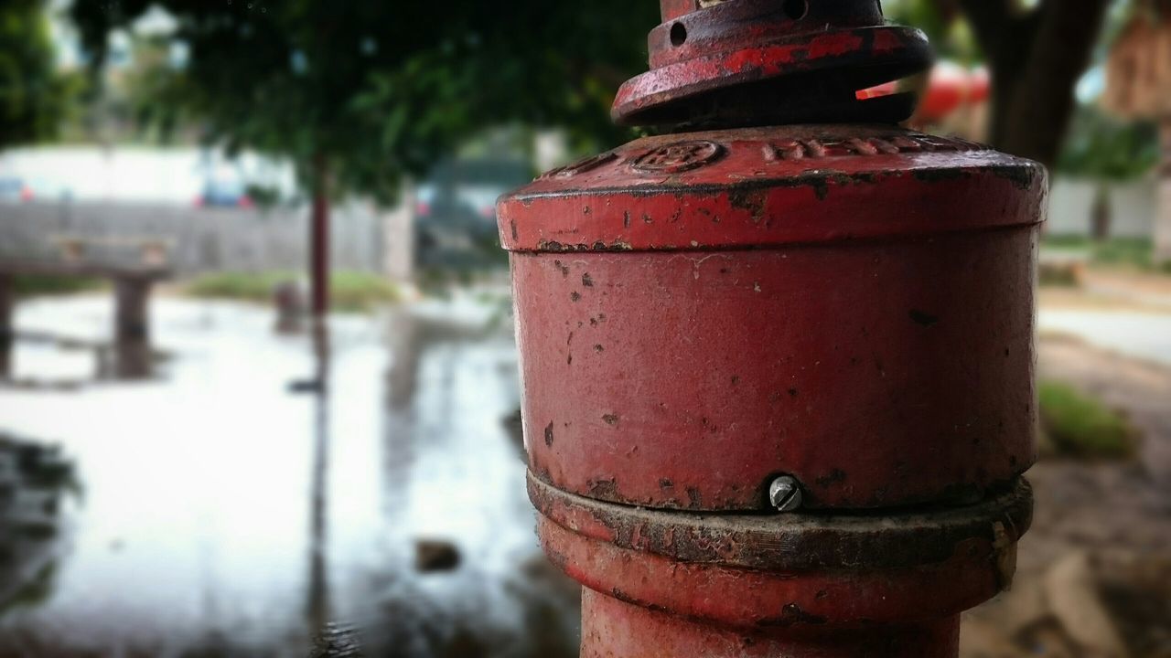 focus on foreground, close-up, metal, rusty, metallic, red, protection, padlock, safety, old, security, weathered, day, selective focus, outdoors, no people, lock, tree, iron - metal, bollard