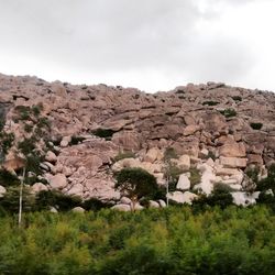 Low angle view of landscape against sky