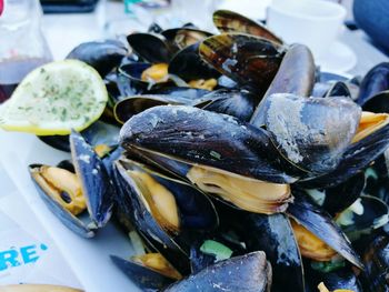 Close-up of mussels in plate