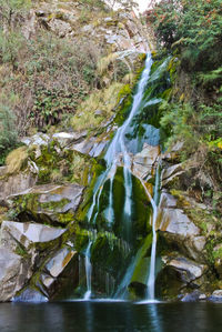 Scenic view of waterfall in forest
