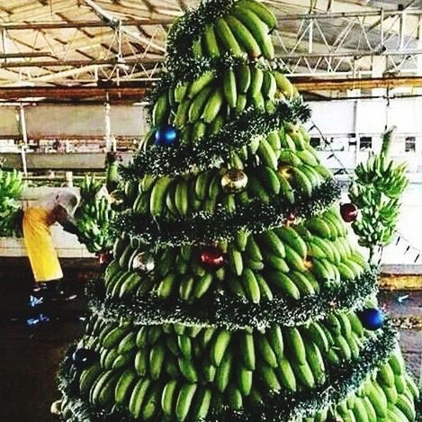 food and drink, food, healthy eating, green color, freshness, fruit, for sale, market, market stall, abundance, large group of objects, retail, raw food, vegetable, arrangement, indoors, cactus, close-up, choice, organic