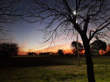 Silhouette trees on field against sky during sunset