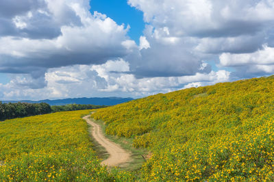 Scenic view of yellow land against sky