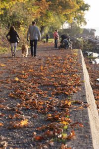 Group of people walking on street during autumn