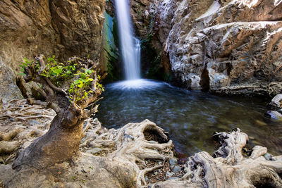 Scenic view of waterfall in forest