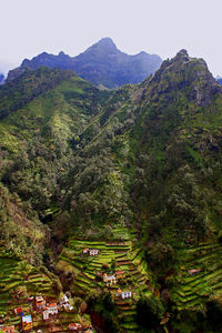 Scenic view of tree mountains against sky