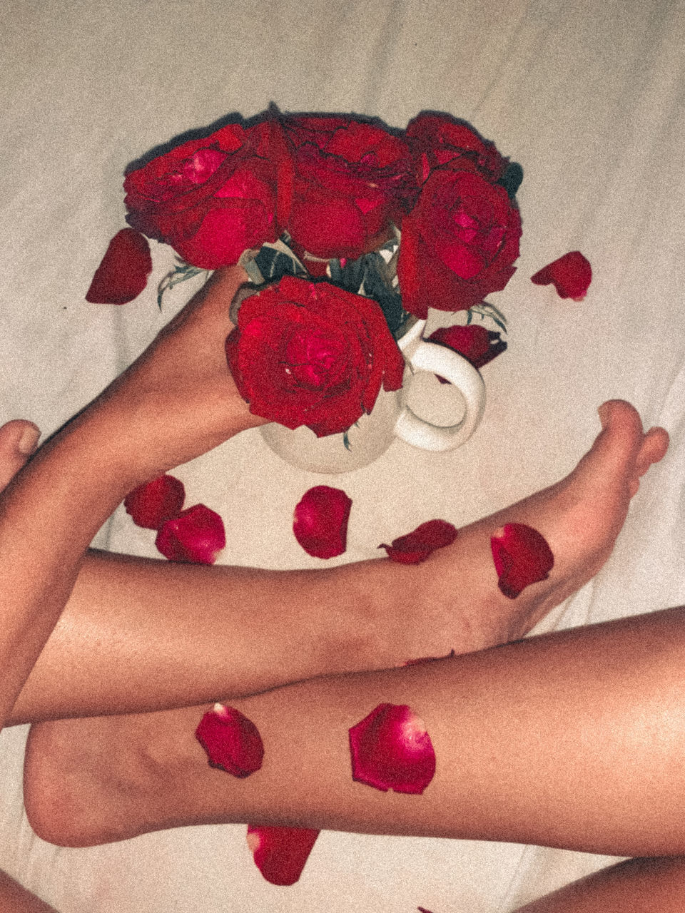 CLOSE-UP OF HAND HOLDING ROSES