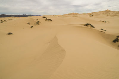 Sand dunes in desert against sky