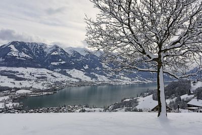 Bare tree by lake against sky during winter