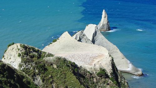 High angle view of rocks on beach