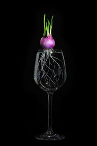 Close-up of wine glass against black background