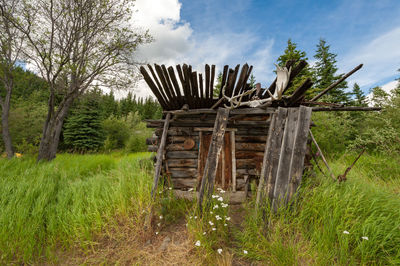 Abandoned hunter's shack in hootalinga at yukon river