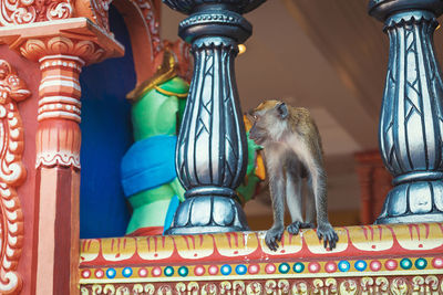 Low angle view of monkeys in building