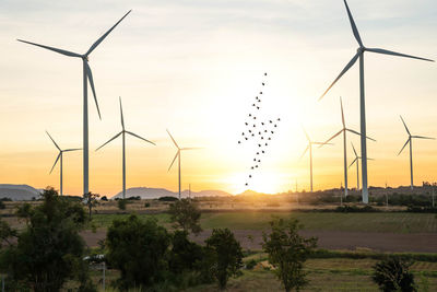 Scenic view of field against sky during sunset