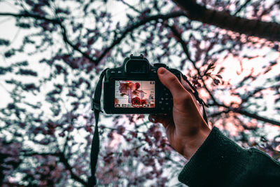 Low angle view of hand using mobile phone