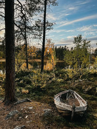 Trees on field against sky