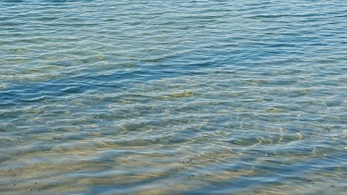 Full frame shot of rippled water