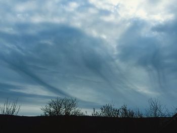 Low angle view of trees against cloudy sky