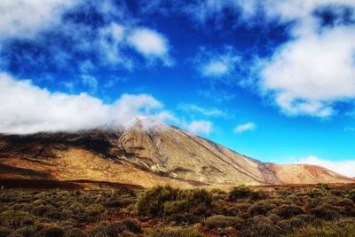 Scenic view of landscape against sky