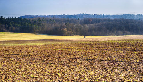 Scenic view of field against sky