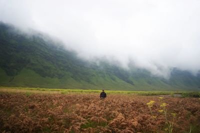 Bromo tengger semeru national park