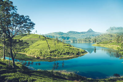 Beautiful landscape of sri lanka. river, mountains and tea plantations.