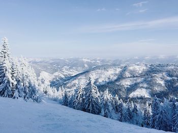 Scenic view of landscape against sky during winter