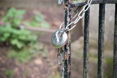 Close-up of padlock and chain on rusty metal gate