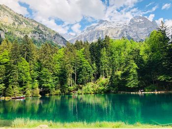 Scenic view of lake by trees against sky
