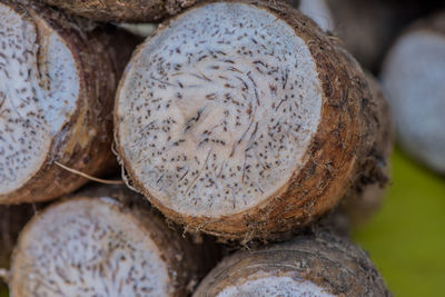 Close-up of stack of logs