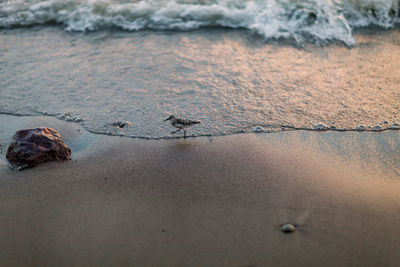 High angle view of rocks on beach