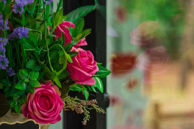 Close-up of pink rose