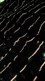 Full frame shot of abstract pattern on land