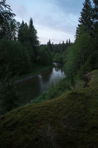 Scenic view of river in forest against sky