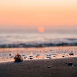 Close-up of sand at beach against sky during sunset