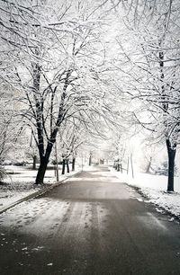 Road amidst bare trees during winter