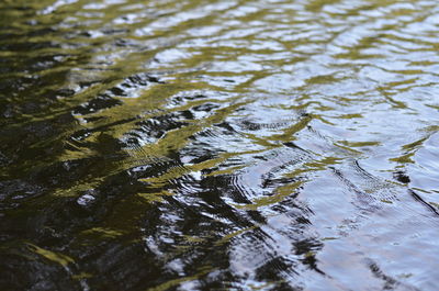 Close-up of water drops on leaf