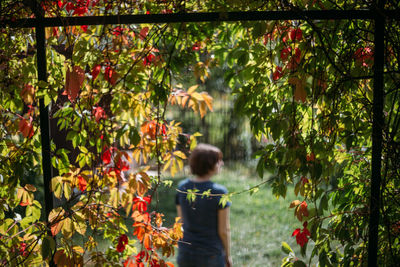 Rear view of man standing by flowering tree